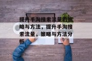提升手淘搜索流量的策略与方法,提升手淘搜索流量,策略与方法分析 提升手淘搜索流量的策略与方法,提升手淘搜索流量,策略与方法分析