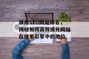 狼雨SEO网站排名，揭秘如何高效提升网站在搜索引擎中的地位