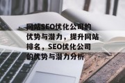 网站SEO优化公司的优势与潜力,提升网站排名,SEO优化公司的优势与潜力分析