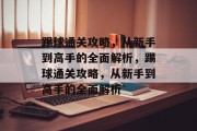 踢球通关攻略，从新手到高手的全面解析，踢球通关攻略，从新手到高手的全面解析