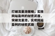 打破流量池策略,实现网站盈利的秘密武器,突破流量池,实现网站盈利的秘密武器 打破流量池策略,实现网站盈利的秘密武器,突破流量池,实现网站盈利的秘密武器