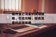 提升自己流量的关键策略,引流攻略,提高流量的关键策略, 提升自己流量的关键策略,引流攻略,提高流量的关键策略,