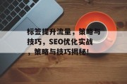 标签提升流量,策略与技巧,SEO优化实战,策略与技巧揭秘!