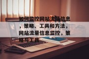 如何监控网站流量信息,策略、工具和方法,网站流量信息监控,策略与工具 如何监控网站流量信息,策略、工具和方法,网站流量信息监控,策略与工具