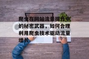 爬虫在网站流量提升中的秘密武器,如何合理利用爬虫技术驱动流量增长 爬虫在网站流量提升中的秘密武器,如何合理利用爬虫技术驱动流量增长