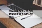 网站流量助手，助力网站实现流量飞跃的秘密武器