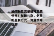 如何利用流量提升免费使用?秘籍共享,免费的盈利方式,流量策略指南 如何利用流量提升免费使用?秘籍共享,免费的盈利方式,流量策略指南