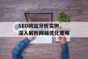 SEO网站分析实例,深入解析网站优化策略 SEO网站分析实例,深入解析网站优化策略