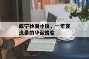 咸宁柃蜜小镇,一年客流量的华丽蜕变 咸宁柃蜜小镇,一年客流量的华丽蜕变