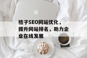 桔子SEO网站优化,提升网站排名,助力企业在线发展 桔子SEO网站优化,提升网站排名,助力企业在线发展