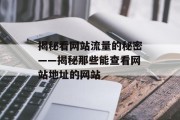揭秘看网站流量的秘密——揭秘那些能查看网站地址的网站