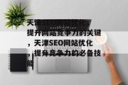 天津SEO网站优化,提升网站竞争力的关键,天津SEO网站优化,提升竞争力的必备技能