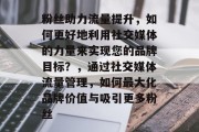 粉丝助力流量提升，如何更好地利用社交媒体的力量来实现您的品牌目标？，通过社交媒体流量管理，如何最大化品牌价值与吸引更多粉丝
