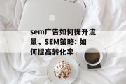 sem广告如何提升流量,SEM策略: 如何提高转化率