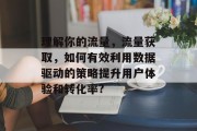 理解你的流量，流量获取，如何有效利用数据驱动的策略提升用户体验和转化率?