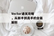 Vector通关攻略，从新手到高手的全面解析
