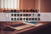 流量一万多如何提升?流量快速涨翻天了!你该怎么做才能脱颖而出?