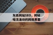 灰色网站SEO,揭秘暗流涌动的网络黑幕 灰色网站SEO,揭秘暗流涌动的网络黑幕