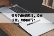 梦梦的流量困境,没有流量,如何前行? 梦梦的流量困境,没有流量,如何前行?