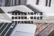 流量掌控能力提升,流量精准管理,提高运营效率的关键技巧 流量掌控能力提升,流量精准管理,提高运营效率的关键技巧