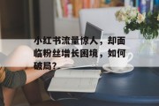 小红书流量惊人,却面临粉丝增长困境,如何破局? 小红书流量惊人,却面临粉丝增长困境,如何破局?