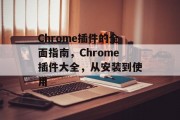 Chrome插件的全面指南,Chrome插件大全,从安装到使用 Chrome插件的全面指南,Chrome插件大全,从安装到使用