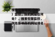 搜索引擎优化（SEO）监控，你的网站在何处？，搜索引擎监控，何处影响你的网站排名?