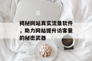 揭秘网站真实流量软件,助力网站提升访客量的秘密武器 揭秘网站真实流量软件,助力网站提升访客量的秘密武器