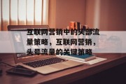 互联网营销中的头部流量策略,互联网营销,头号流量的关键策略 互联网营销中的头部流量策略,互联网营销,头号流量的关键策略