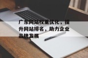广东网站权重优化，提升网站排名，助力企业品牌发展