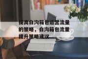 提高白沟箱包运营流量的策略,白沟箱包流量提升策略建议 提高白沟箱包运营流量的策略,白沟箱包流量提升策略建议
