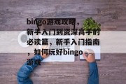bingo游戏攻略，新手入门到资深高手的必读篇，新手入门指南，如何玩好bingo游戏