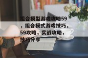 组合模型游戏攻略59,组合模式游戏技巧,59攻略,实战攻略,技巧分享