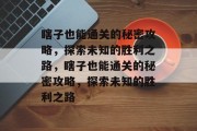 瞎子也能通关的秘密攻略，探索未知的胜利之路，瞎子也能通关的秘密攻略，探索未知的胜利之路