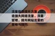 流量指数提升方案,打造强大网络流量,流量管理,提升网站流量的策略与技巧
