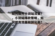 如何提升小说站流量?,小说站爆款策略,如何提高流量和转化率? 如何提升小说站流量?,小说站爆款策略,如何提高流量和转化率?