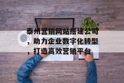 泰州营销网站搭建公司,助力企业数字化转型,打造高效营销平台 泰州营销网站搭建公司,助力企业数字化转型,打造高效营销平台