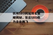 杭州SEO网站排名策略揭秘,乐云SEO助力企业腾飞 杭州SEO网站排名策略揭秘,乐云SEO助力企业腾飞