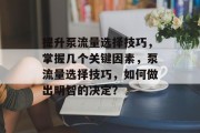 提升泵流量选择技巧,掌握几个关键因素,泵流量选择技巧,如何做出明智的决定?