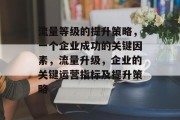 流量等级的提升策略,一个企业成功的关键因素,流量升级,企业的关键运营指标及提升策略 流量等级的提升策略,一个企业成功的关键因素,流量升级,企业的关键运营指标及提升策略