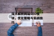 深入解析网站SEO模块,优化策略与实战技巧 深入解析网站SEO模块,优化策略与实战技巧