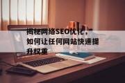 揭秘网络SEO优化，如何让任何网站快速提升权重
