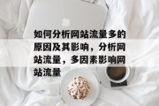 如何分析网站流量多的原因及其影响,分析网站流量,多因素影响网站流量 如何分析网站流量多的原因及其影响,分析网站流量,多因素影响网站流量