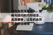 提升自然流量收入,策略与技巧的巧妙结合,高效策略,让你的自然流量翻倍赚钱