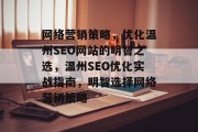 网络营销策略，优化温州SEO网站的明智之选，温州SEO优化实战指南，明智选择网络营销策略