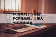 PC游戏的囧玩秘籍，PC游戏攻略，囧爆人生的秘密武器