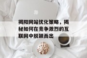 揭阳网站优化策略,揭秘如何在竞争激烈的互联网中脱颖而出 揭阳网站优化策略,揭秘如何在竞争激烈的互联网中脱颖而出