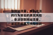 偷网站流量，看似合法的行为背后的真实风险，非法获取网站流量，背后的后果与风险分析