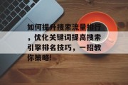 如何提升搜索流量排行,优化关键词提高搜索引擎排名技巧,一招教你策略!