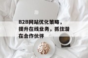 B2B网站优化策略,提升在线业务,抓住潜在合作伙伴 B2B网站优化策略,提升在线业务,抓住潜在合作伙伴